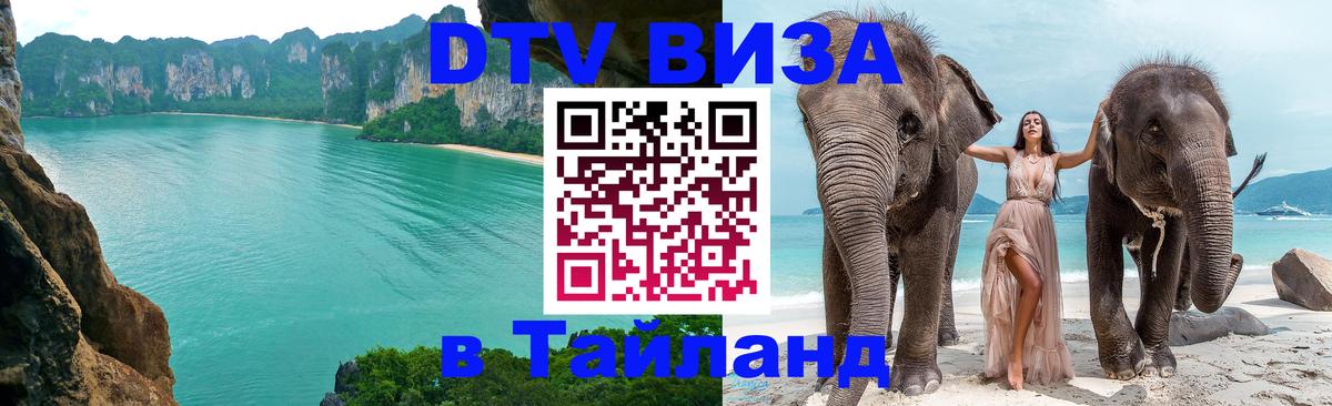 Сколько стоит DTV виза — актуальные цены, оформление даже без документов - 20.11.2025 